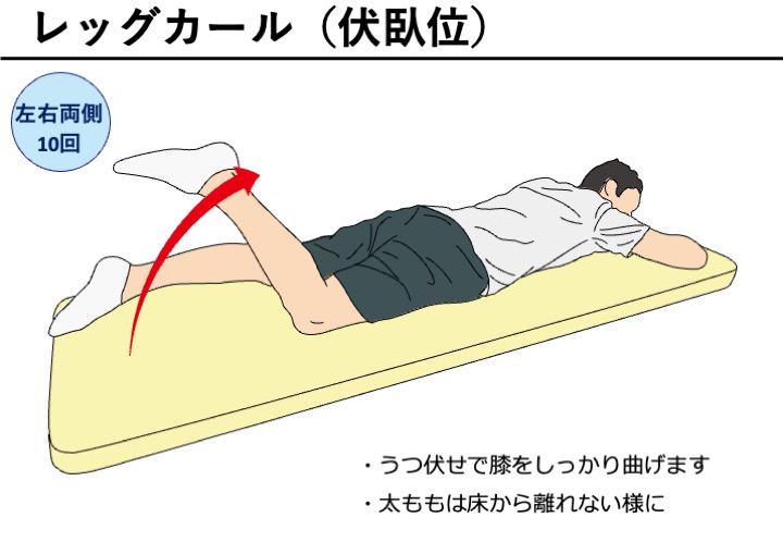 膝の強化トレーニングで太ももの裏を鍛える