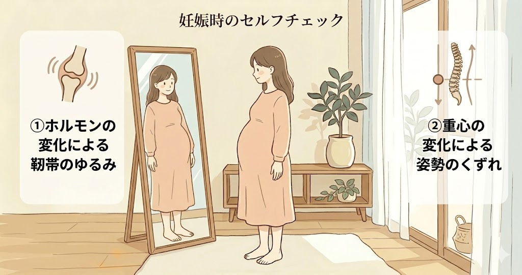妊娠中の腰痛の原因